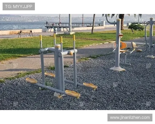 路边健身器材的普及与健康效果