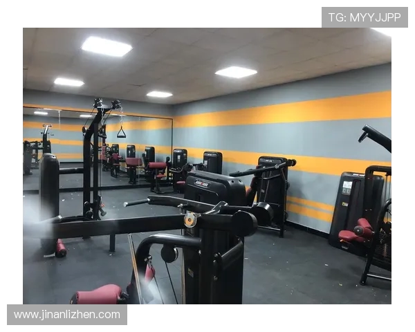 高效健身器材推荐，助你塑造完美身材的秘密武器