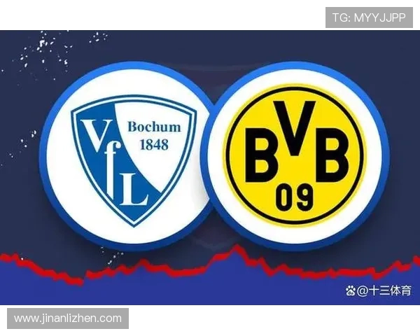 德甲五大豪门球队详解，实力与历史的完美结合